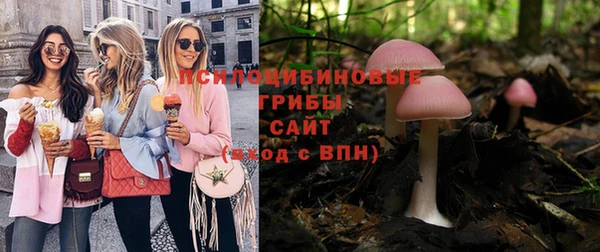 2c-b Арсеньев