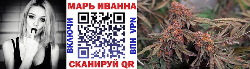 МАРИХУАНА SATIVA & INDICA  дарнет шоп  Нижнеудинск 